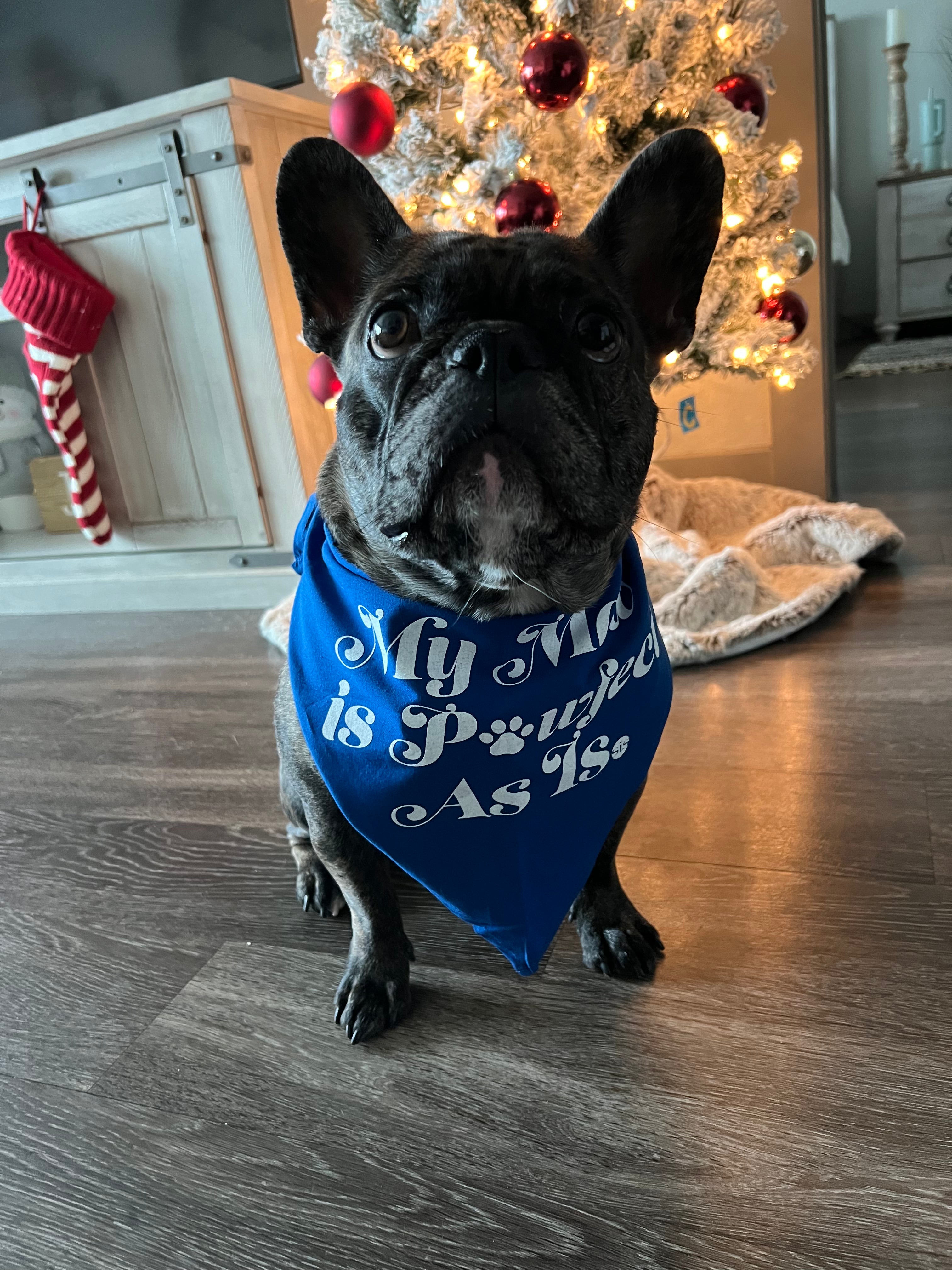 Pet Bandana