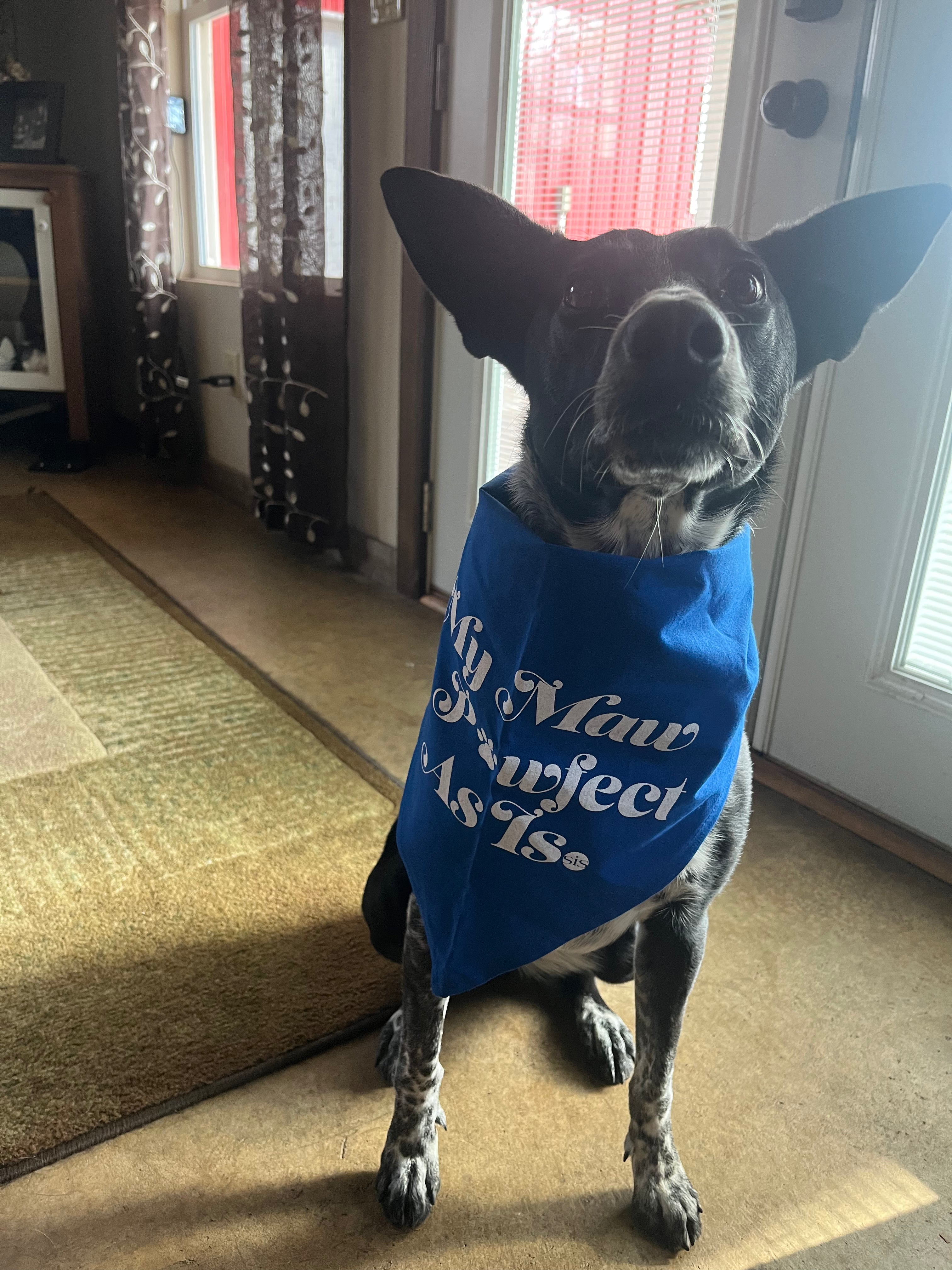 Pet Bandana