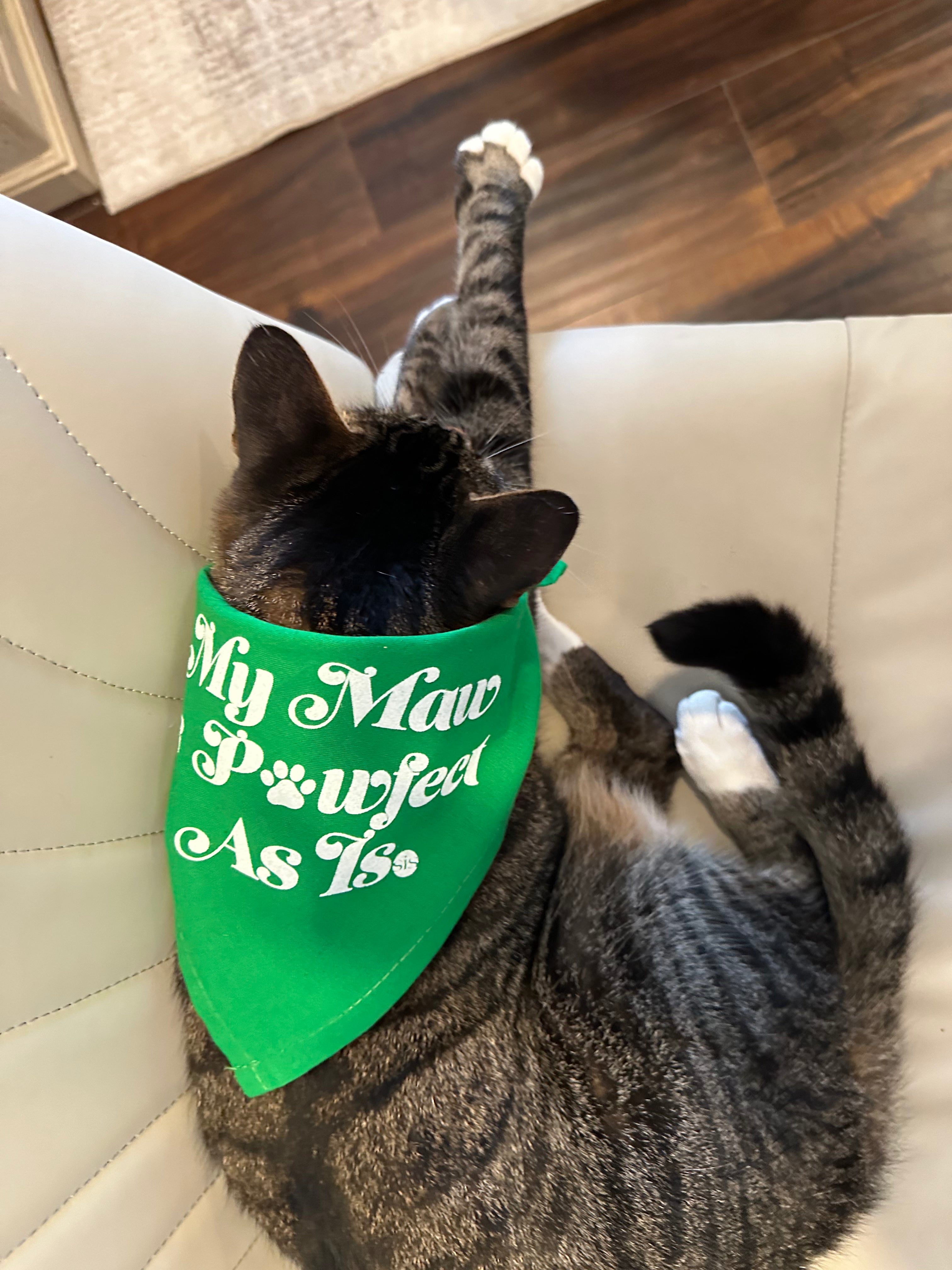 Pet Bandana
